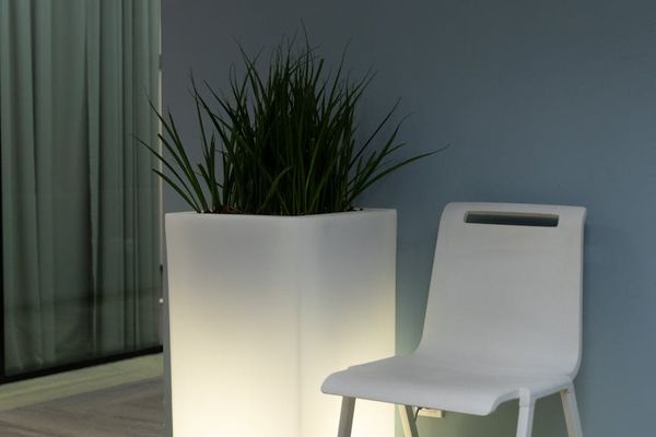 A clean and peaceful room corner with a yoga mat and a small plant.